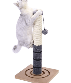 PAWZ Road Poste Rascador para Gatos …Juguetones