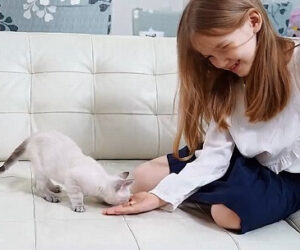 8 de Agosto, Feliz Día del Gato