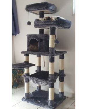 árbol rascador para gatos Feandrea PCT15W