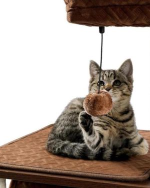 arbol para gatos pawz road