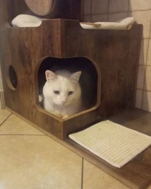 feandrea rascador gatos madera