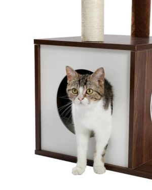 rascador de madera para gatos pawz road