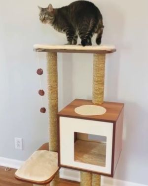 rascador vesper madera para gatos