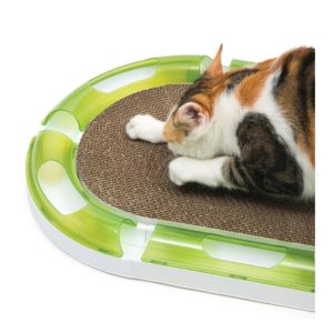 catis senses rascador de carton