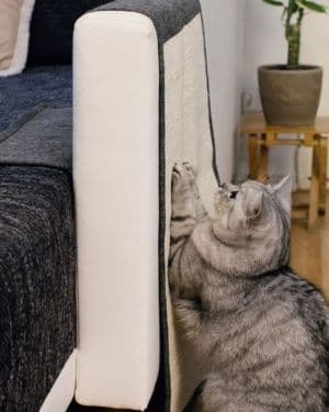 rascador navaris sofa