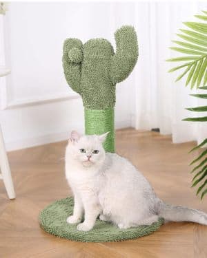 rascador cactus amazon basics II